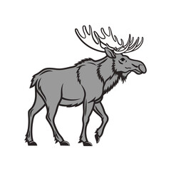 a moose vector art and illustratior