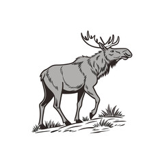 a moose vector art and illustratior