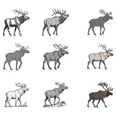 a moose vector art and illustratior