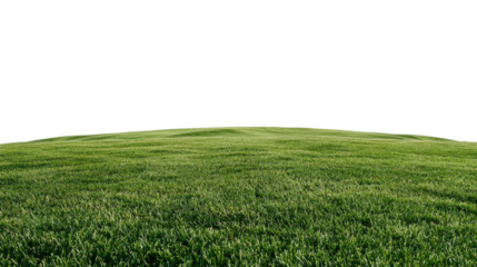 Lush Green Grass Field with Gentle Horizon Curvature and Vibrant Natural Landscape for Outdoor and Nature Themes