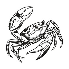 Crab Vector Style Clip Art Design