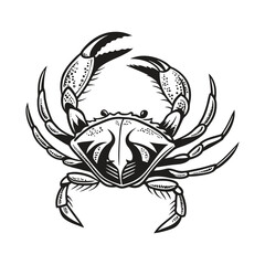 Crab Vector Style Clip Art Design