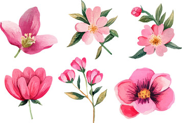 pink and white flowers