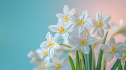 Fototapeta premium natural flowers background