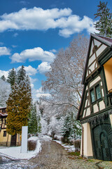 Snowy pine trees surrounding historic romanian buildings highlight winter tranquility in sinaia mountain resort, showcasing architectural charm against pristine white landscape