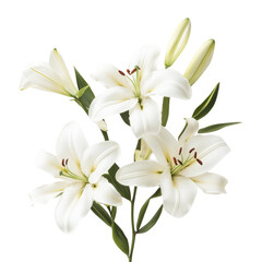 Naklejka premium Elegant White Lilies Bouquet with Fresh Green Leaves Arrangement
