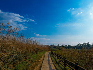 Stone footpath and wooden fence leading a long The Great