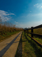 Stone footpath and wooden fence leading a long The Great