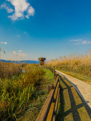 Stone footpath and wooden fence leading a long The Great