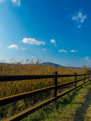 Stone footpath and wooden fence leading a long The Great