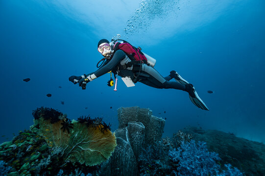 diver exploring the tropical waters around the Similan Islands