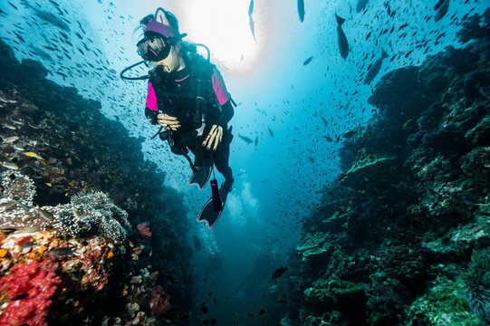 diver exploring the tropical waters around the Similan Islands