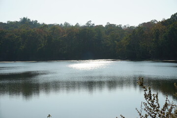 A calm lake surrounded by lush green trees. The water is still and reflects the sky and trees above. The sun is shining brightly, creating a sparkling effect on the water's surface. 