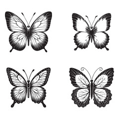 4 Set of Graceful Silhouettes of the Yellow Cabbage Butterfly Elegantly Framed on a White Background in Monochrome Art