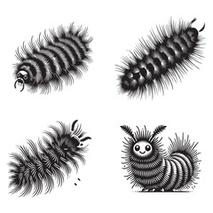Graceful Silhouettes of the Woolly Worm Elegantly Framed on a White Background in Monochrome Art