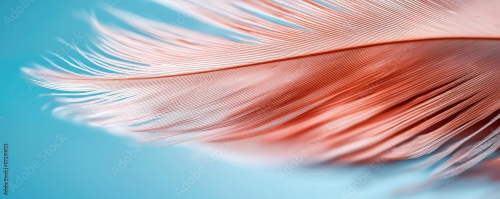 Poster feather abstract background concept. close-up of a delicate pink feather against a soft blue backgro
