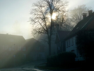 Winter landscape with thick fog in the city in the Harz Mountains. The sun creates plays of light....