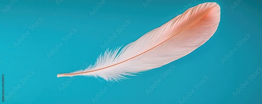 Poster feather abstract background concept. a delicate pink feather gracefully floating on a vibrant blue b
