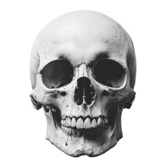 Obraz premium Minimalist skull design, stark white backdrop, emphasizing form and texture, modern aesthetic, striking visual simplicity, artistic interpretation