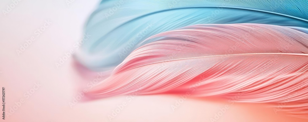 Poster Feather abstract background concept. Soft pastel feather textures in blue and pink tones create a calming visual effect.