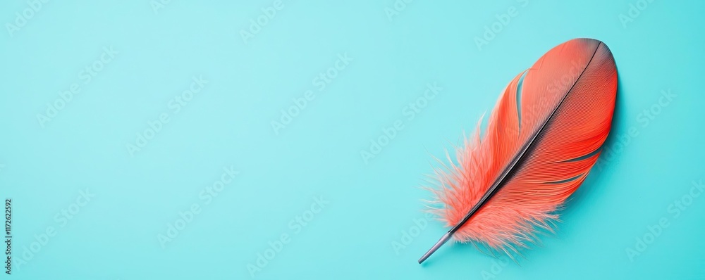 Poster feather abstract background concept. a vibrant red feather placed gracefully on a soothing turquoise