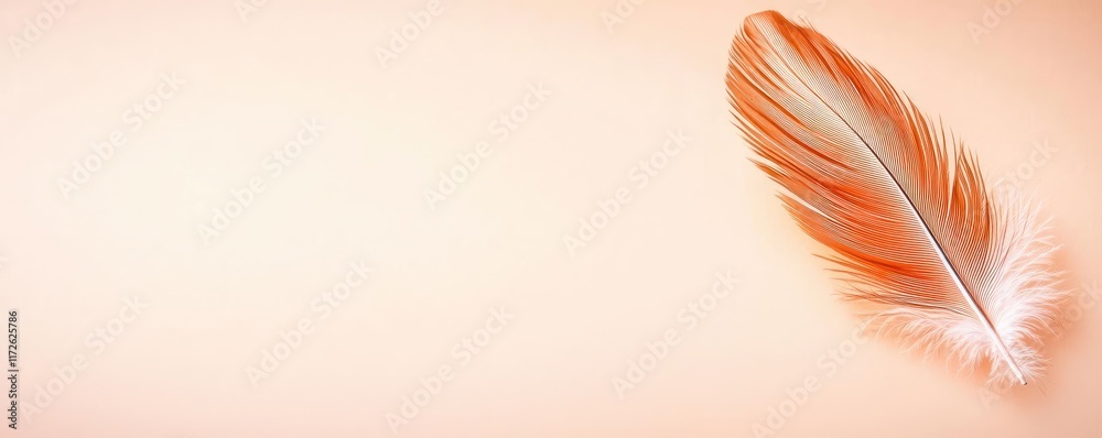 Poster Feather abstract background concept. A delicate orange feather resting on a soft peach background.
