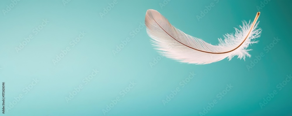 Poster Feather abstract background concept. Delicate feather floating against a serene turquoise background, symbolizing lightness.