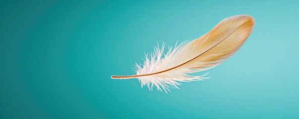 Obraz premium Feather abstract background concept. A delicate feather resting gracefully on a soft turquoise background.