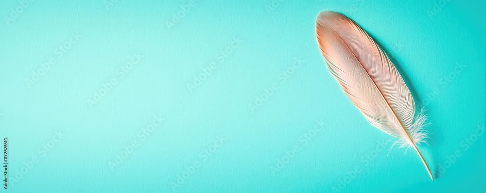 Poster Feather abstract background concept. A delicate feather resting on a calming turquoise background, symbolizing peace.