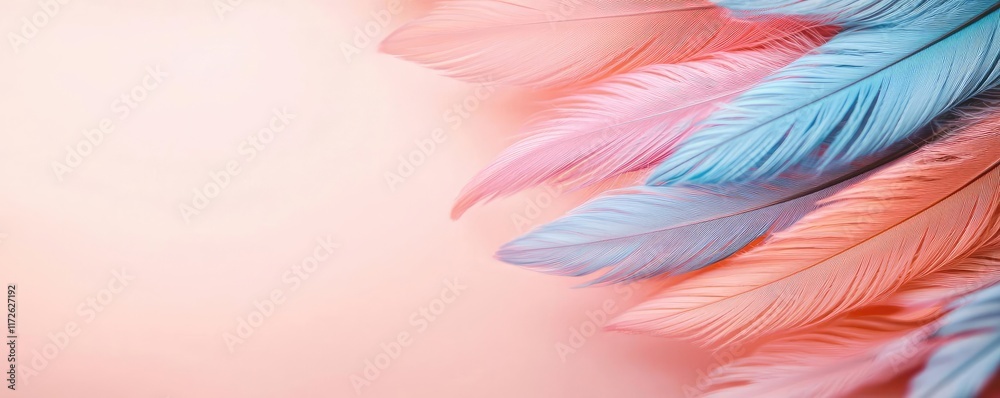 Poster feather abstract background concept. colorful feathers arranged artistically on a soft pastel backgr