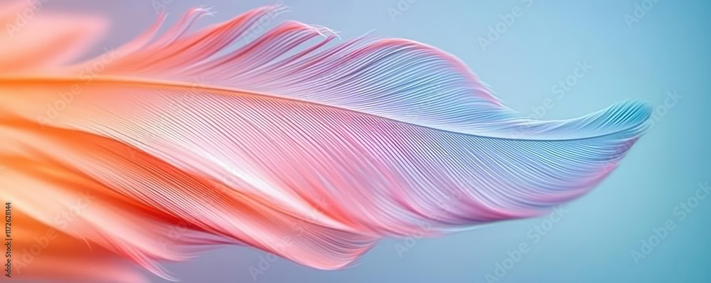 Poster Feather abstract background concept. A delicate, colorful feather showcasing gentle curves and soft gradients.