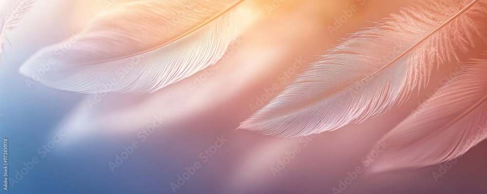 Poster feather abstract background concept. soft feathers in pastel colors create a serene and peaceful atm