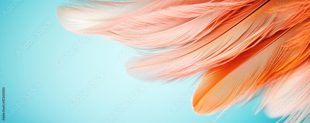 Poster Feather abstract background concept. Delicate pink and orange feathers gently flowing against a soft blue background.