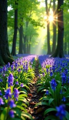 Naklejka premium Bluebell-covered forest floor with sunlight filtering through, greenery, forest floor