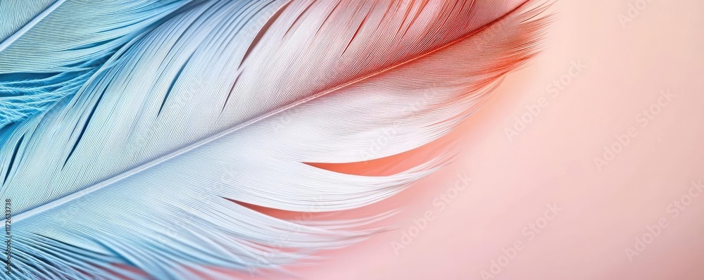 Poster Feather abstract background concept. Vibrant and colorful feathers with a soft gradient background, showcasing delicate details.
