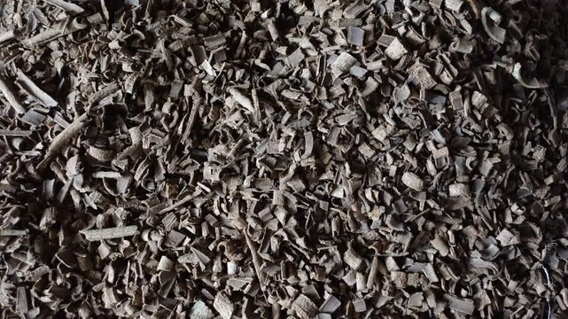 Pieces of medicinal tree bark. Raw materials for making herbal medicines ready for sale.