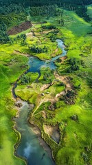 Aerial view: meandering river, green landscape, deforestation.