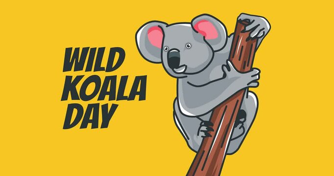 wild koala day motion video, ideal for wild koala day celebration