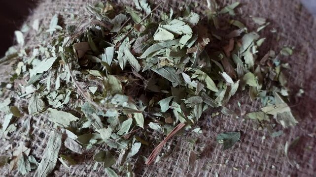 Dried medicinal plant leaf pieces. Raw materials for making herbal medicines ready for sale.