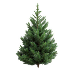 Minimalist Christmas tree design, elegant simplicity, bright white backdrop, festive spirit, modern holiday decor