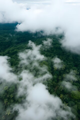 Fototapeta premium Aerial view of a lush green forest covered with mist and clouds, creating a serene and mystical atmosphere. The dense foliage and rolling hills are partially obscured by the fog.