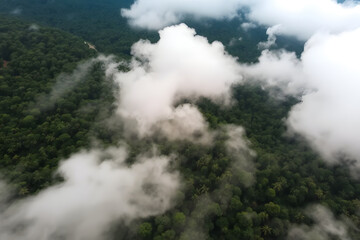 Fototapeta premium Aerial view of a lush green forest covered with mist and clouds, creating a serene and mystical atmosphere. The dense foliage and rolling hills are partially obscured by the fog.