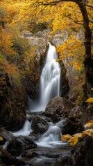 Fototapeta premium Serene Waterfall Flowing Through Autumn Forest