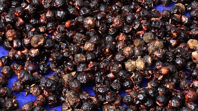 Dried Fruits of Sapindus Mukorossi as Indian Soapberry, Washnut, Ritha. Raw materials for making herbal medicines ready for sale.