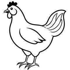 hen and rooster