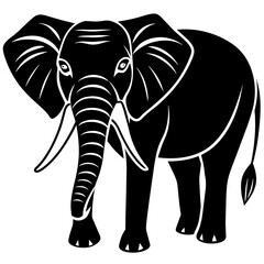 elephant illustration