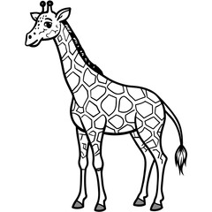 Obraz premium giraffe vector illustration