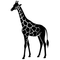 giraffe vector illustration