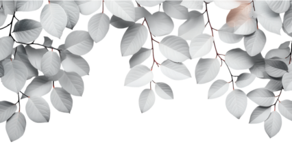 Minimalist banner design, clean white backdrop, elegant layout, modern aesthetics, perfect for professional presentations or digital content