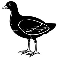 illustration of a bird